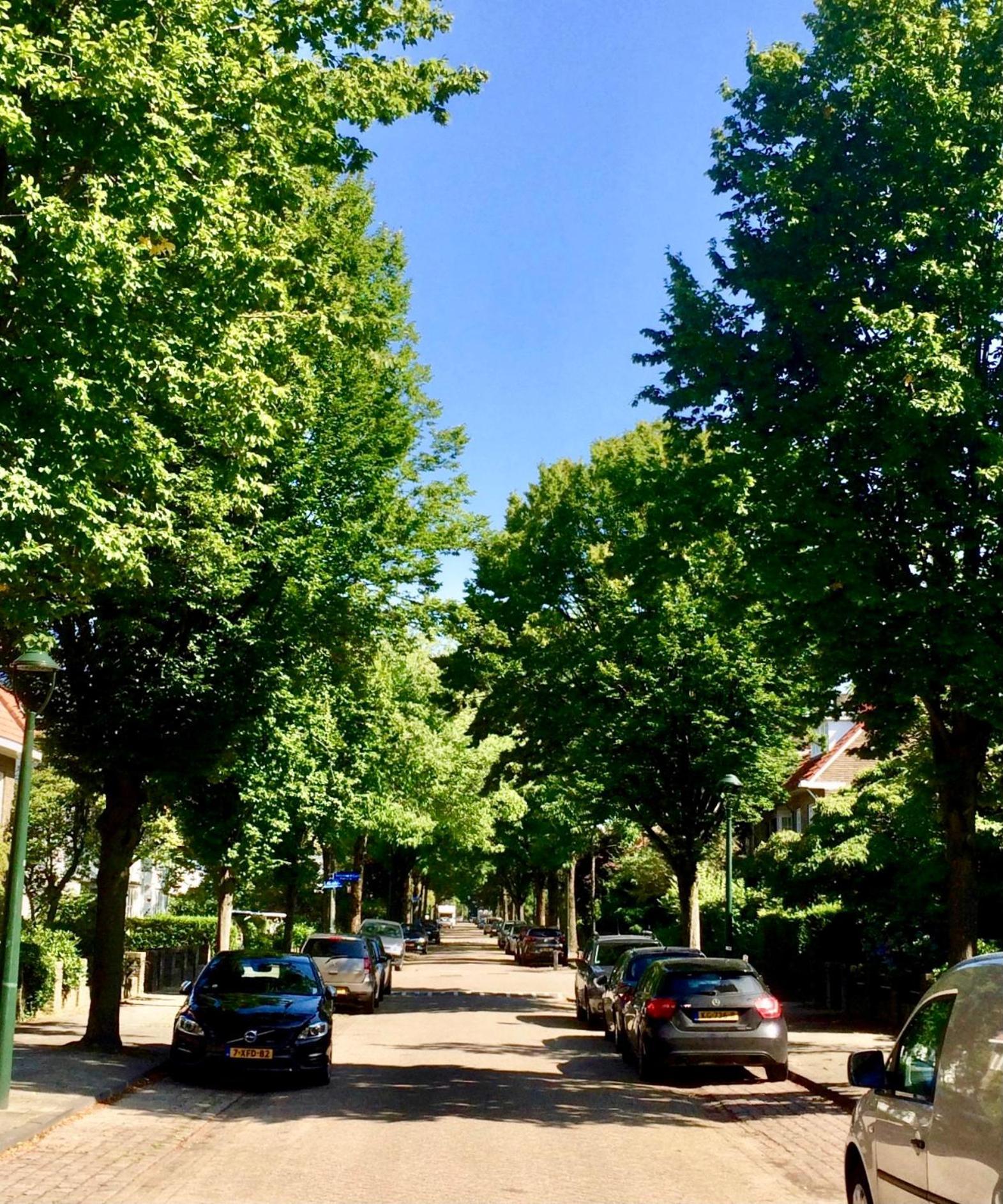 Eikenburg B&B Eindhoven Zewnętrze zdjęcie